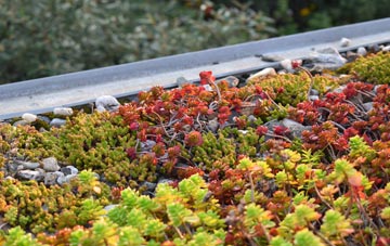 the cost of North Court green roof installation