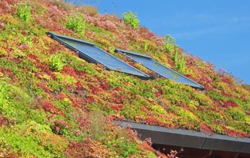 North Court living roof systems