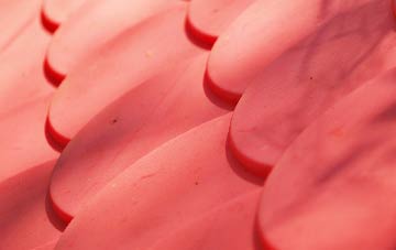 North Court plastic roof costs